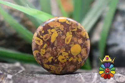 فوروت جاسپر  (جاسپر میوه ای)
