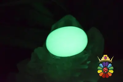 فسفریت شب نما