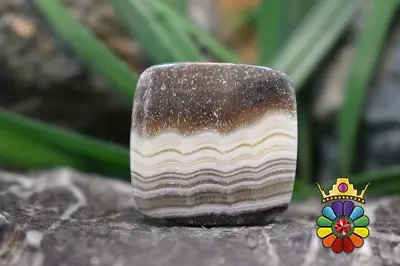 زبرا کلسیت