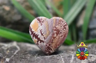 سونورا جاسپر