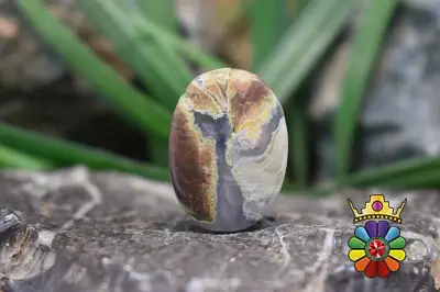 عقیق شجر  یمن