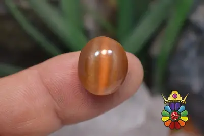 چشم گربه چینی