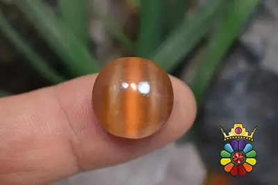 چشم گربه چینی