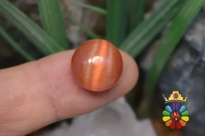 چشم گربه چینی