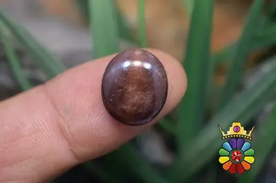 سلیمانیت (چشم گربه)