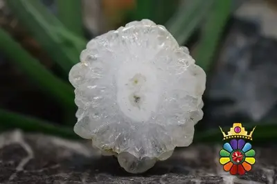 اسلایس کوارتز خورشیدی(سولار کوارتز)