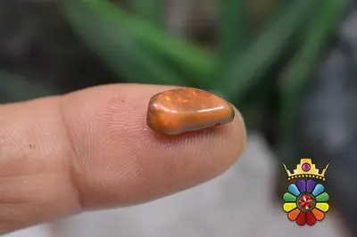 راف اپال سفید