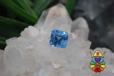 بلوتوپاز سوئیس