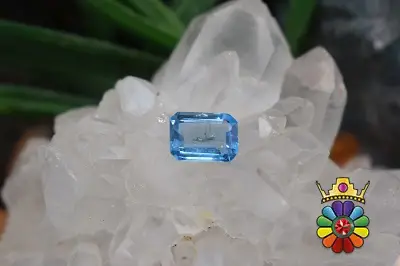 بلوتوپاز سوئیس