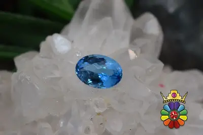 بلوتوپاز سوئیس