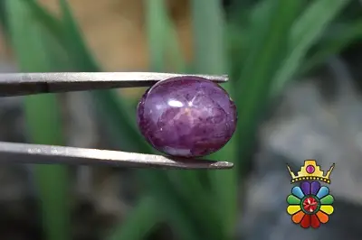 یاقوت سرخ  استار