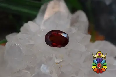 گارنت هسونیت