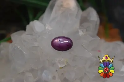 یاقوت سرخ  استار