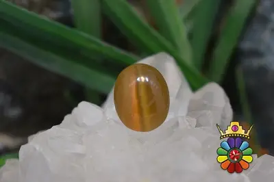 چشم گربه چینی