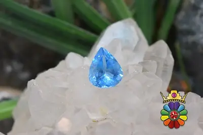 بلوتوپاز سوئیس