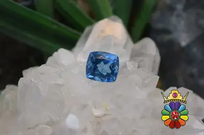 بلوتوپاز سوئیس