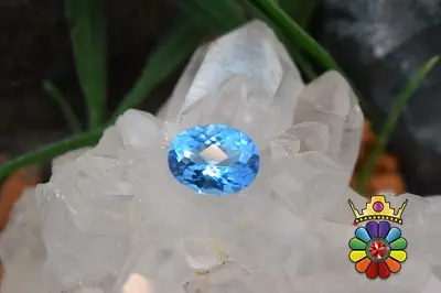 بلوتوپاز سوئیس