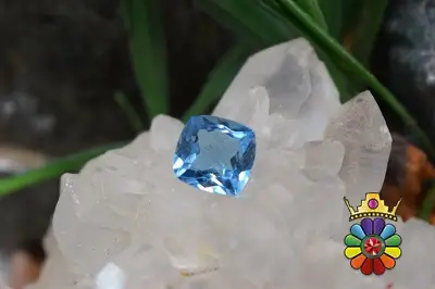 بلوتوپاز سوئیس