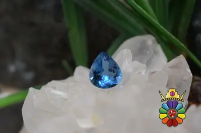 بلوتوپاز سوئیس