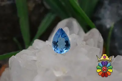 بلوتوپاز سوئیس