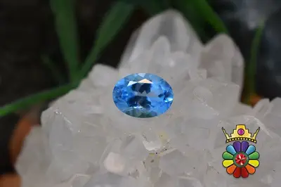 بلوتوپاز سوئیس