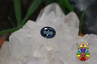 بلوتوپاز لندن