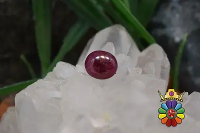 یاقوت سرخ
