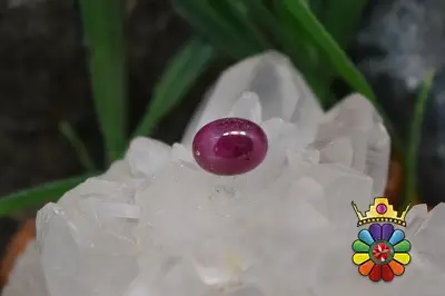یاقوت سرخ
