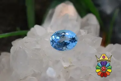 بلوتوپاز سوئیس