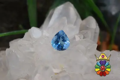بلوتوپاز سوئیس