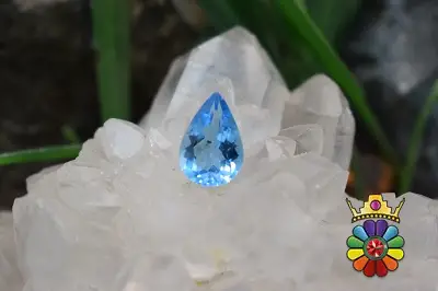 بلوتوپاز سوئیس