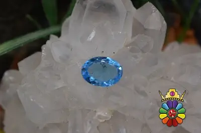 بلوتوپاز سوئیس
