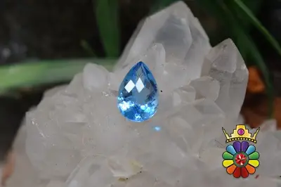 بلوتوپاز سوئیس