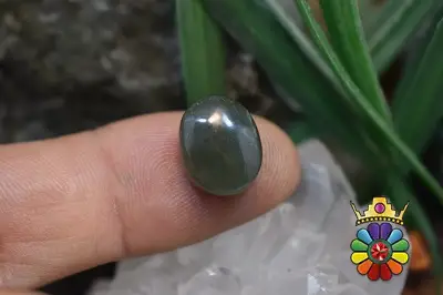 یشم  یمن سبز