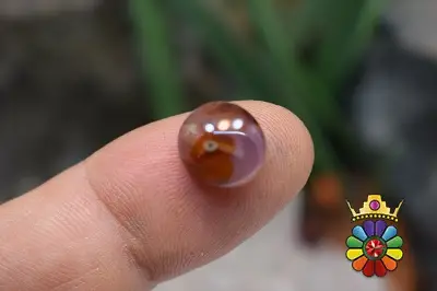 عقیق یمن قرمز