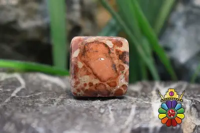 کافی بین جاسپر