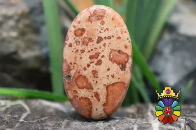 کافی بین جاسپر