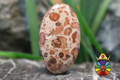کافی بین جاسپر