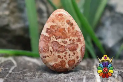 کافی بین جاسپر
