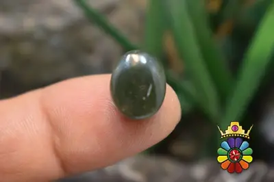 یشم  یمن سبز