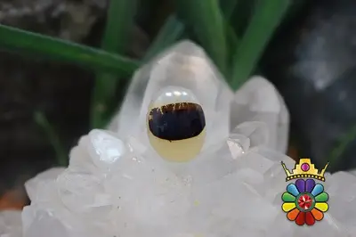 عقیق شجر