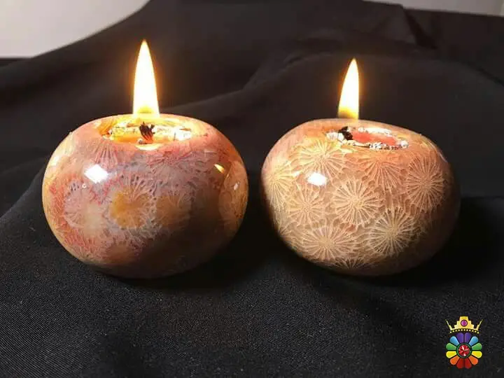 سنگ فسیل مرجان