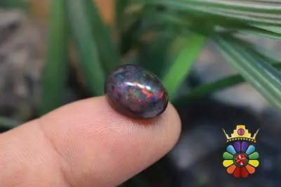 اپال سیاه اتیوپی