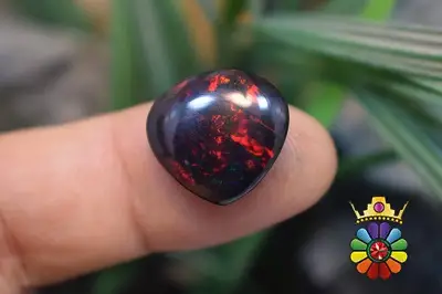 اپال سیاه اتیوپی