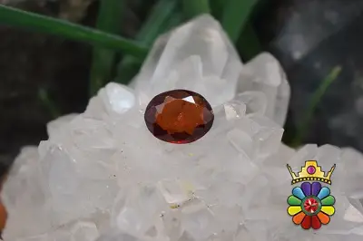 گارنت هسونیت