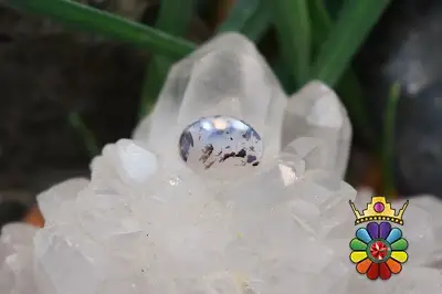 عقیق شجر