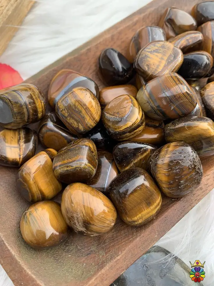 چشم ببر آهنی
