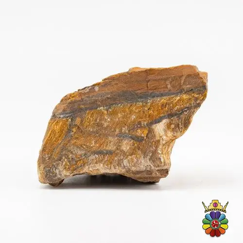 چشم ببر آهنی