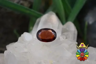 گارنت هسونیت