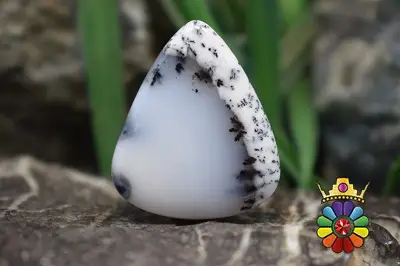 اپال دندریت